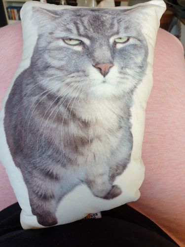 Customer photo review of Personalisiertes Katzenkissen™