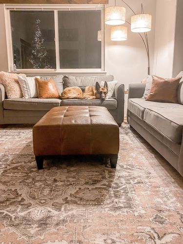 Customer photo review of Distressed Vintage Cezanne Blush Area Rug