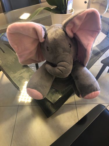 Customer photo review of Eléphant en peluche animé et musical
