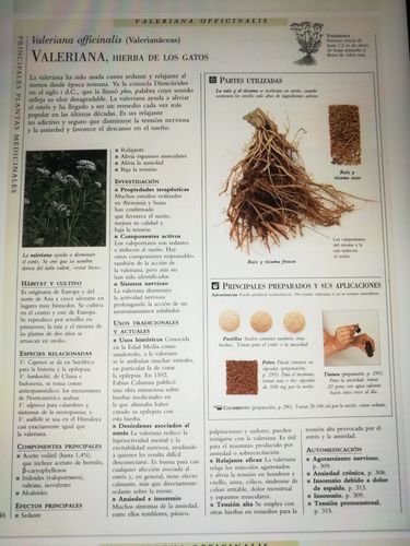 Customer photo review of Enciclopedia Hierbas Medicinales