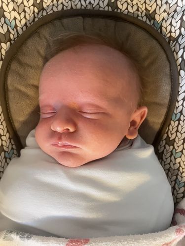 zen swaddle classic reviews