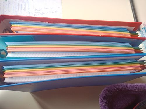 Avis photo d'un client sur Fiches de révision REVISION 2.0 OXFORD # 50 fiches 14,8 x 21 cm - petits carreaux