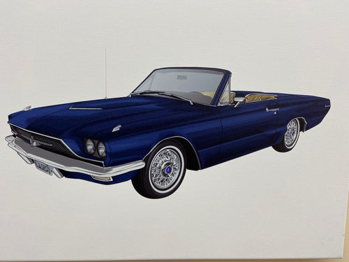 Customer photo review of Custom Car Portrait