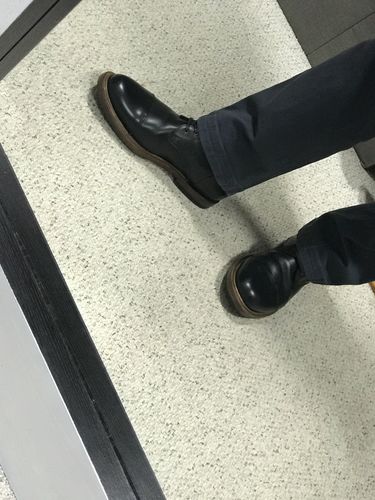 Customer photo review of Alder II