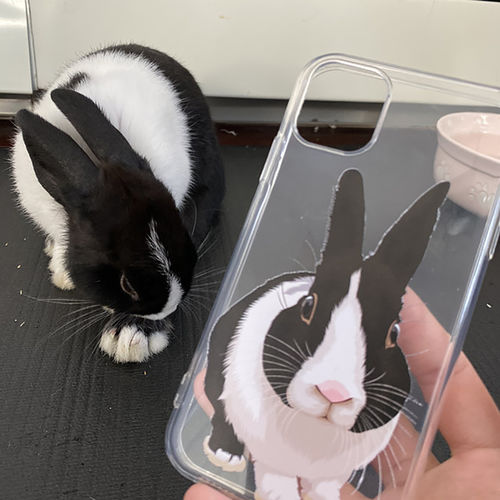 Customer photo review of Custom Pet Phone Case