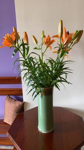 Customer photo review of Subscribe to Cut Flowers - Premium