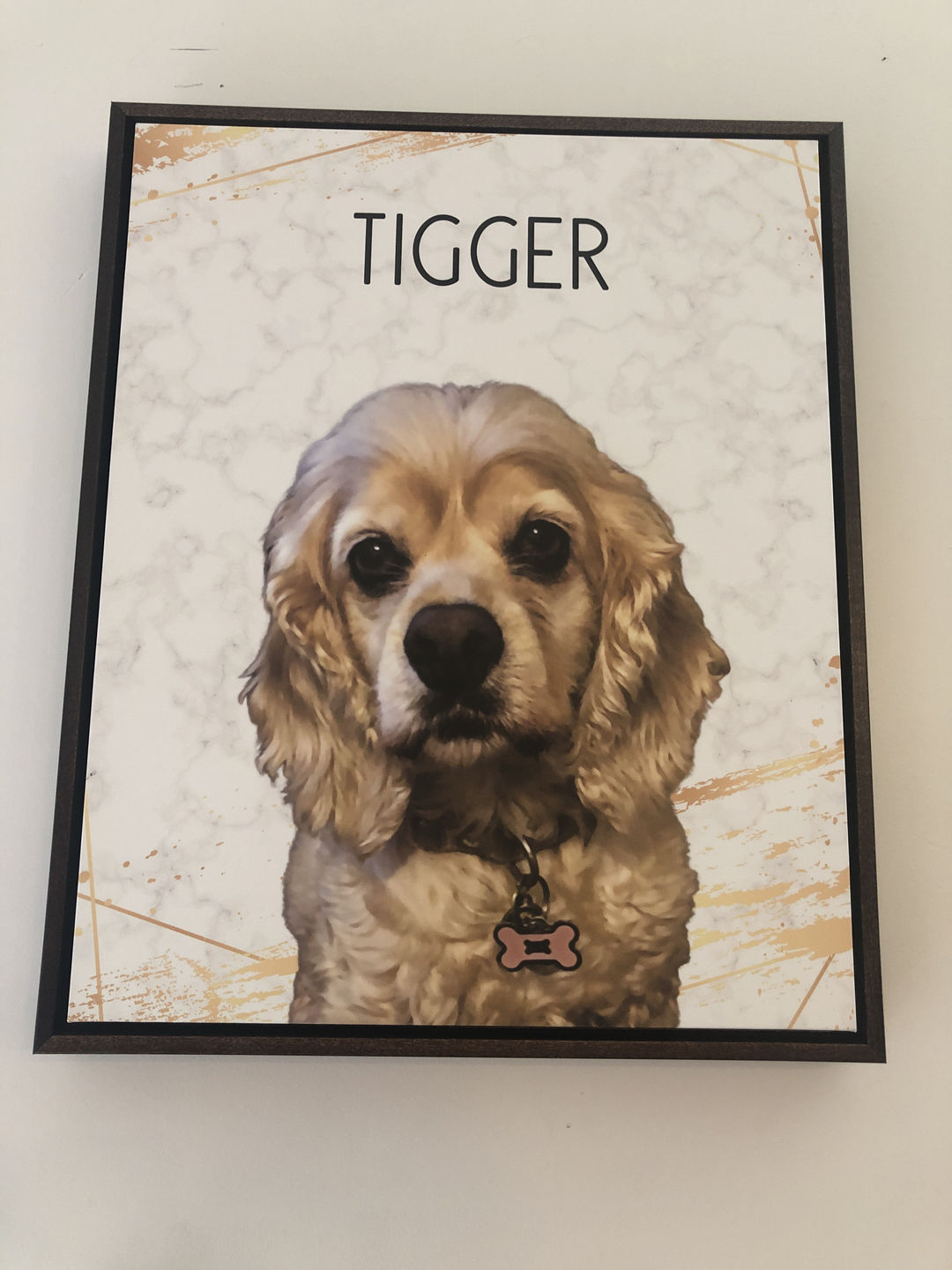 Customer photo review of Pop Chic Modern Framed Canvas