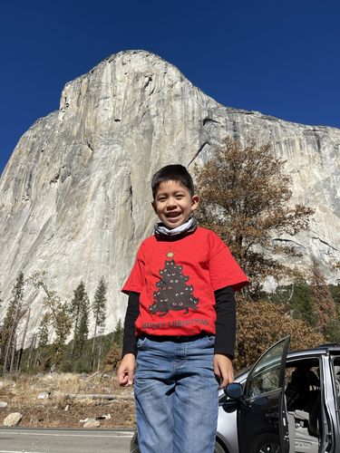 Customer photo review of Meowy Christmas Tree T Shirt