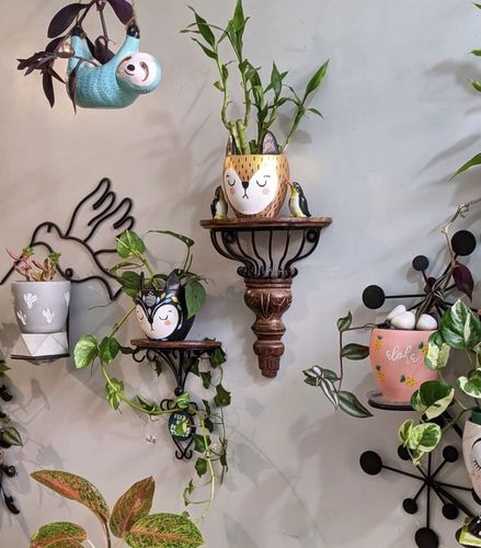 Customer photo review of Gold & Flower Fox Planter