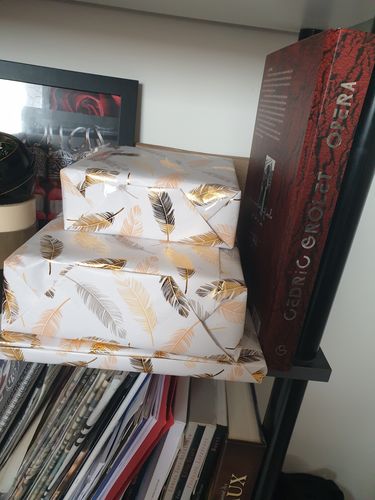 Customer photo review of Dossier Cendres (analogique)