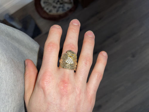 Customer photo review of CZ SADDLE RING (GOLD)