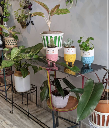 Customer photo review of Smiling Planter (Set of 3)