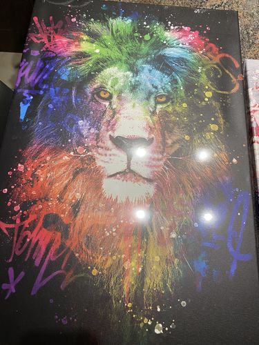 Customer photo review of Tableau Lion Graff Art