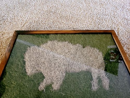 Customer photo review of Buffalo Inlay - Field & Sideline (Black Friday)