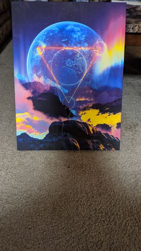 Customer photo review of Neon Night Canvas Set