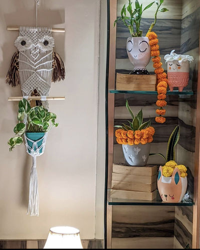 Customer photo review of Owl Macrame Plant Hanger