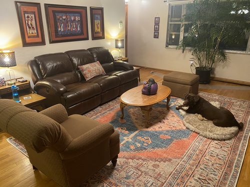Customer photo review of Distressed Louvre Rustic Blue Rug