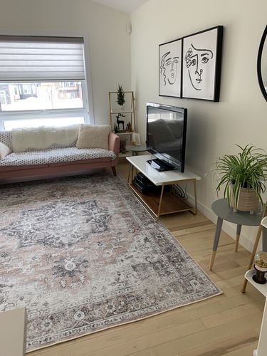 Customer photo review of Distressed Vintage Cezanne Blush Area Rug