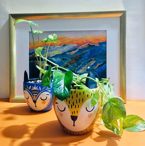 Customer photo review of Gold & Flower Fox Planter