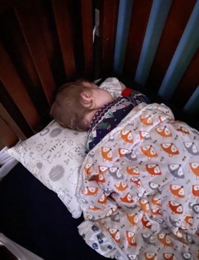 Customer photo review of Hypoallergenic Toddler Pillow with 100% Cotton Pillowcase