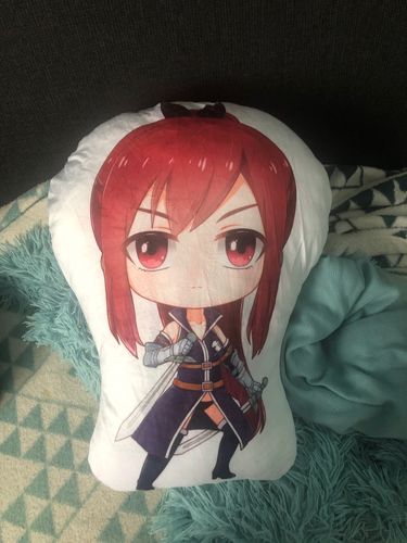 Customer photo review of Peluche Fairy Tail Erza