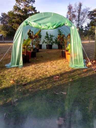 Customer photo review of Erommy 20' x 10' x 7' Large Greenhouse High Tunnel Greenhouses Walk-in Hoop House, Green