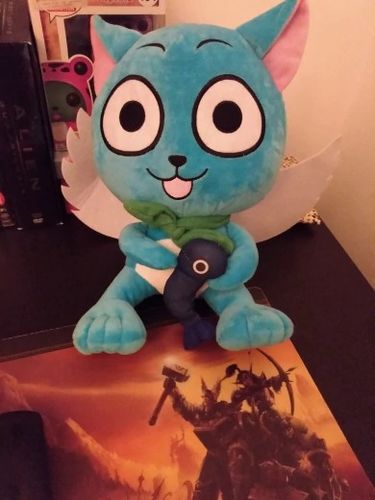Customer photo review of Peluche Fairy Tail Happy 30cm