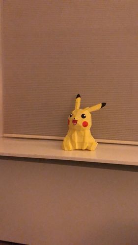 Customer photo review of Pikachu