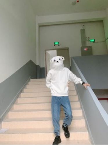 Customer photo review of Bear On The Top Hoodie