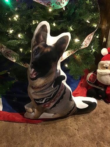 Customer photo review of Create A Custom Object Pillow