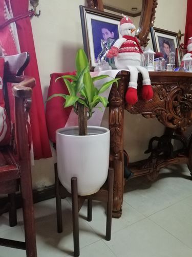 Review photo 1 by Erlyn G.