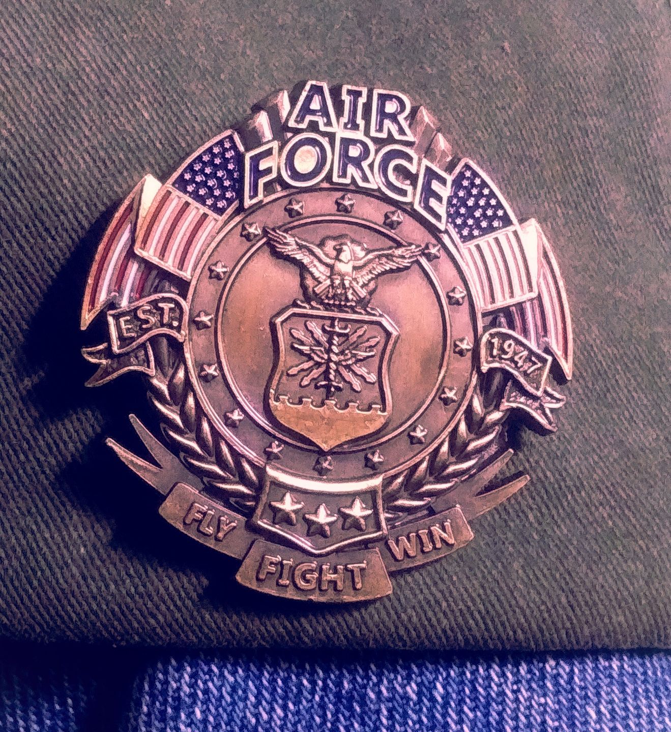 Customer photo review of US Air Force Veteran's Day Pin (PRE-ORDER!!!)
