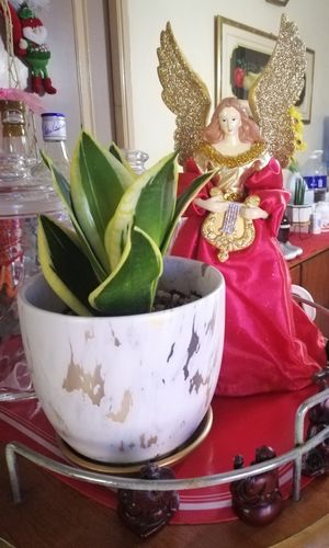 Review photo 1 by Erlyn G.