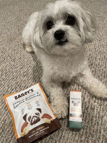 Customer photo review of Bailey's Full Spectrum Hemp Oil For Dogs w/ 300MG Naturally Occurring CBD