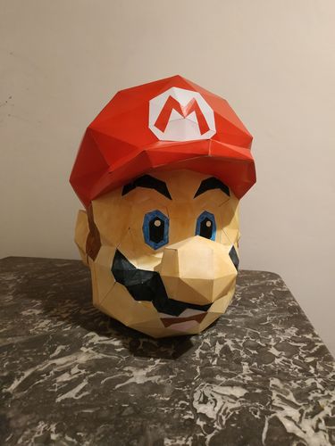 Customer photo review of Masque Super Mario