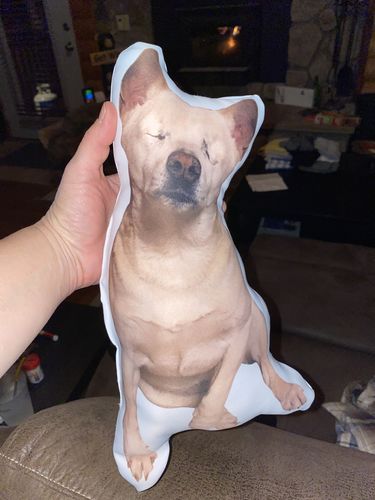 Customer photo review of Create A Custom Object Pillow