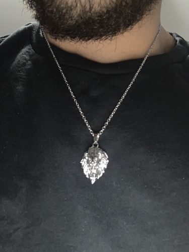 Customer photo review of Lion (Silver)