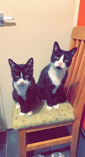 Customer photo review of Sustainable Litter