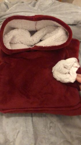 Customer photo review of 3 SweetPlaid + 1 GRATUIT