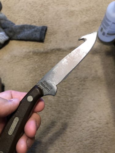 Customer photo review of 3/4 X 12 Inch Knife Sharpener Sanding Belts, 10 Pack