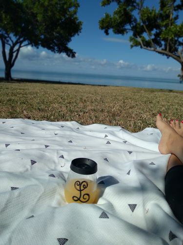 Customer photo review of California Voyager Blanket