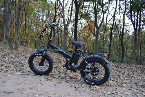 Customer photo review of VTUVIA SK20 20 Inch Folding Fat Tire Electric Bike, 750W Motor, 48V 13AH Removable Battery-Second Day Shipping