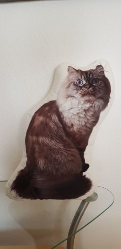 Customer photo review of Personalisiertes Katzenkissen™