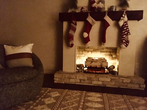 Customer photo review of Dimplex Revillusion 20" Electric Birchwood Log Insert