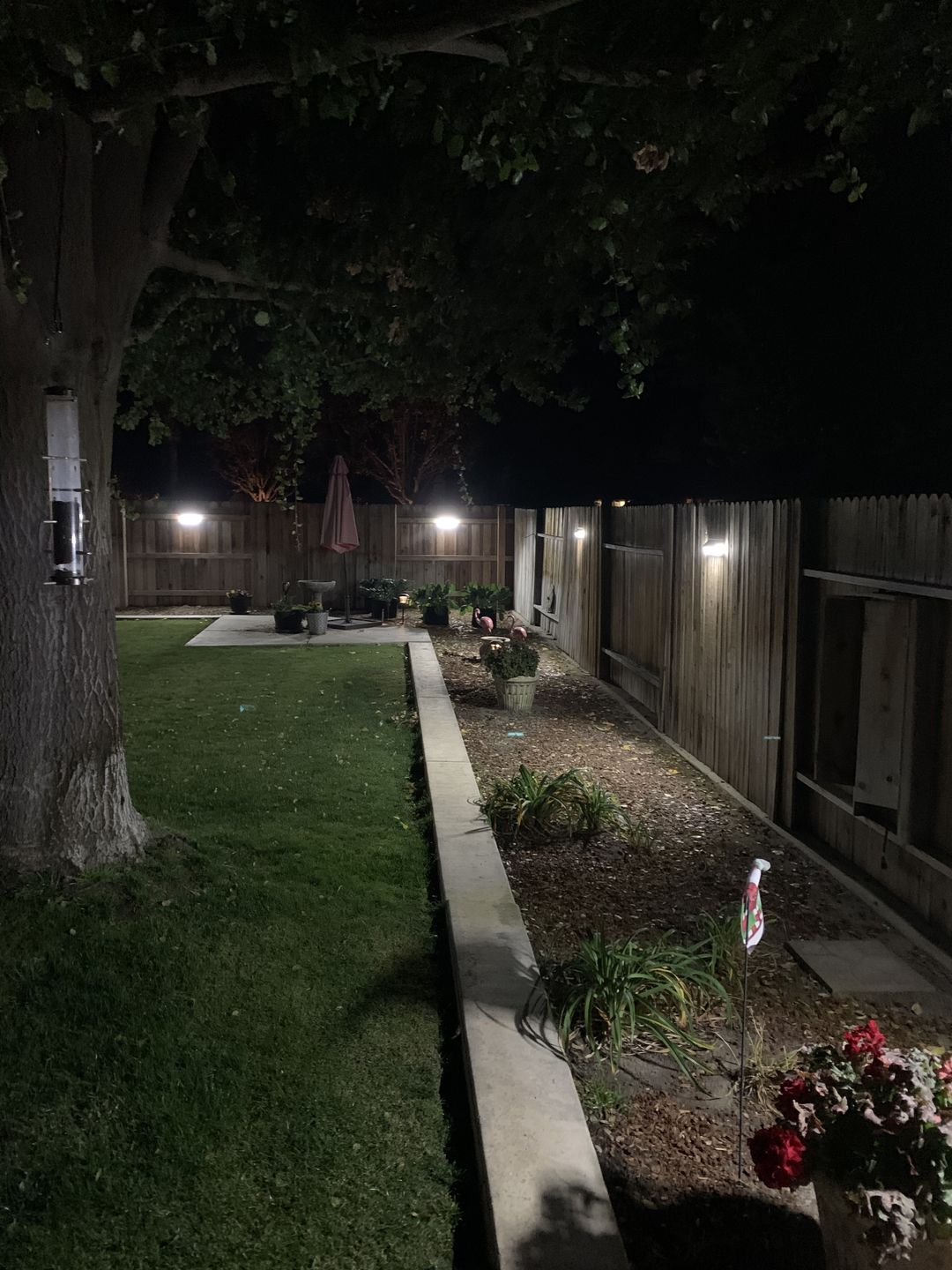 Customer photo review of 118 LED Solar Light 1000 Lumens