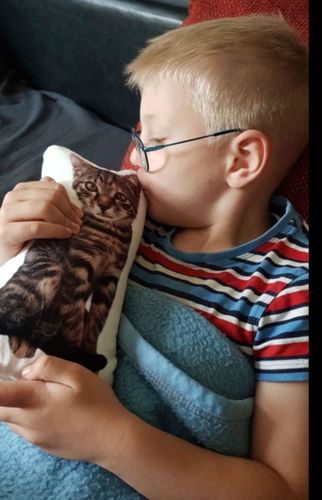 Customer photo review of Personalisiertes Katzenkissen™