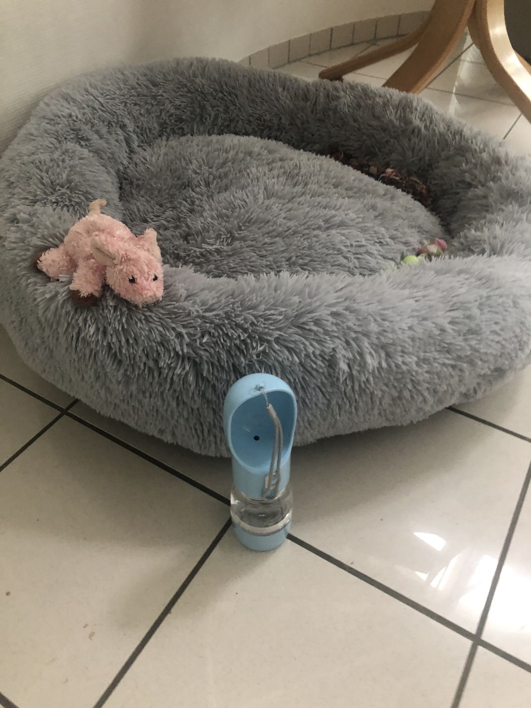 Customer photo review of Hunde Trinkflasche inkl. Futterbehälter