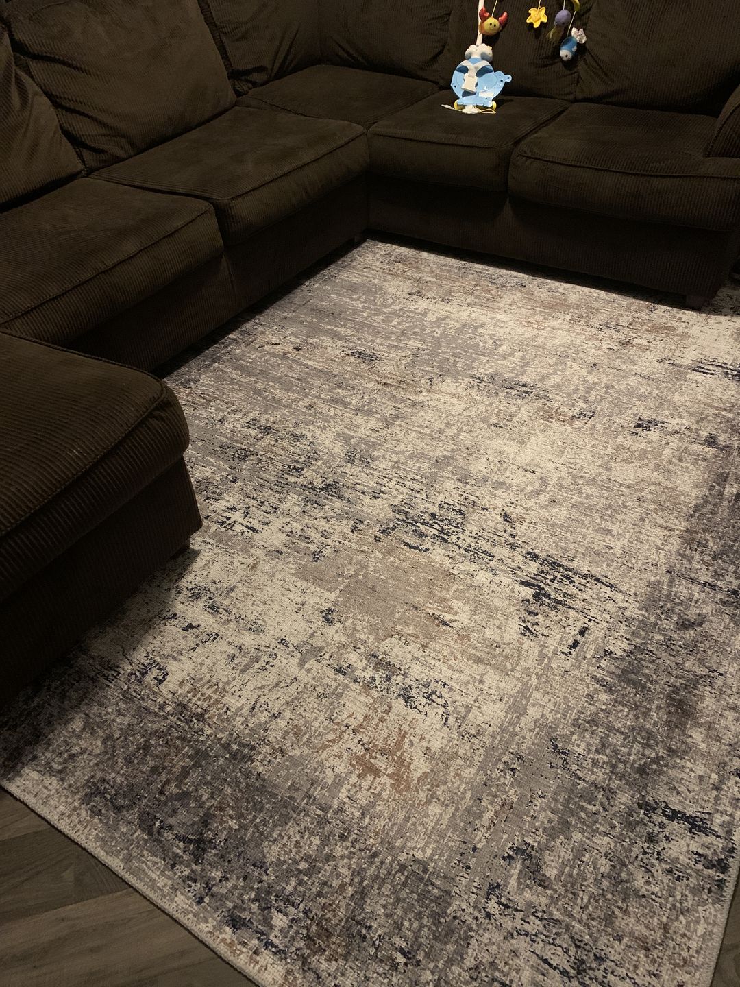 Customer photo review of Abstract Border Echo Blue Grey Rug