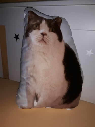 Customer photo review of Personalisiertes Katzenkissen™
