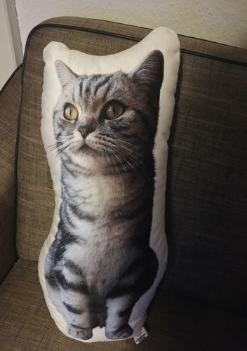 Customer photo review of Personalisiertes Katzenkissen™